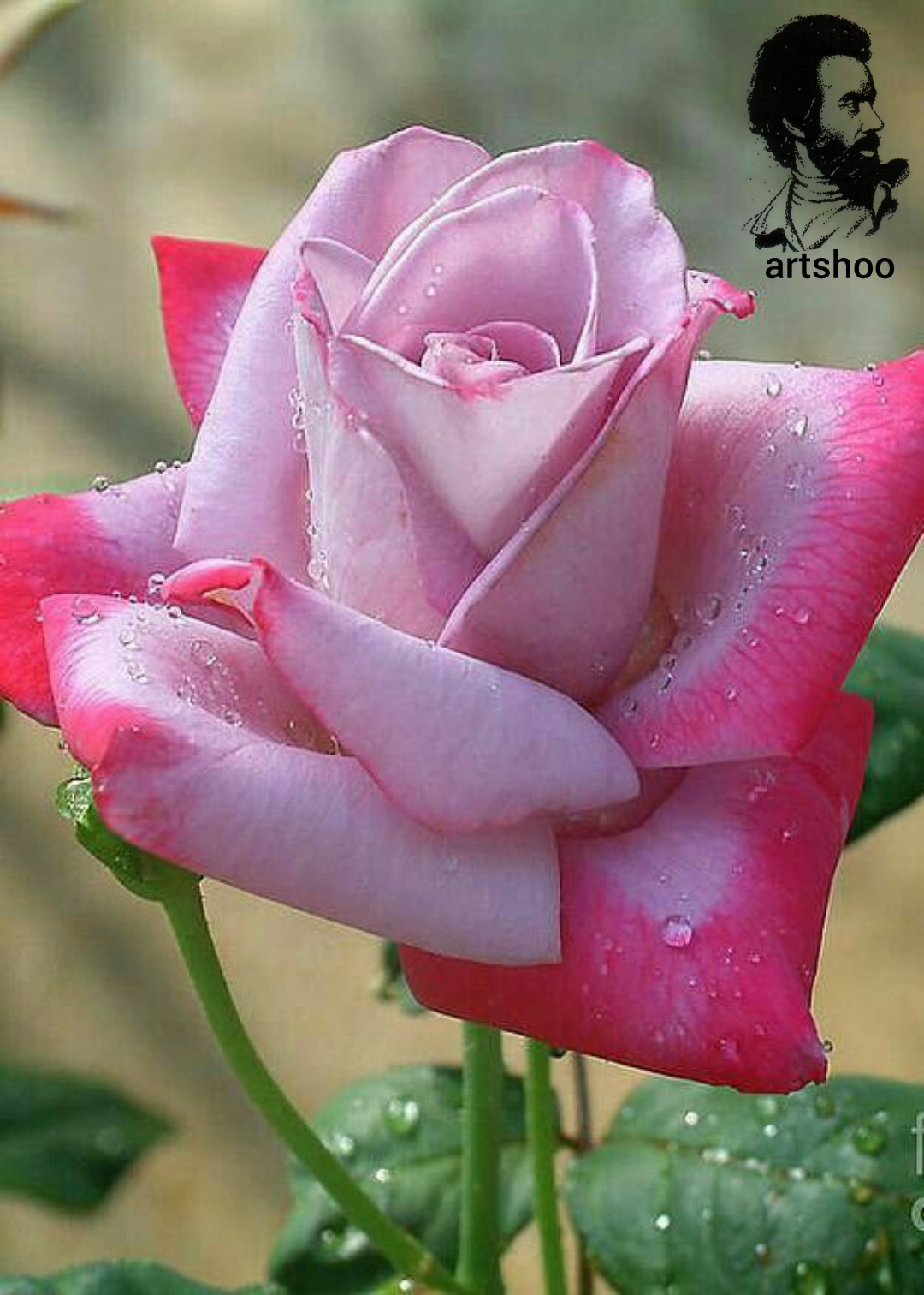 گل اورژینال رنگ روغن